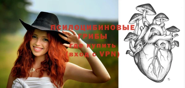 стафф Балахна