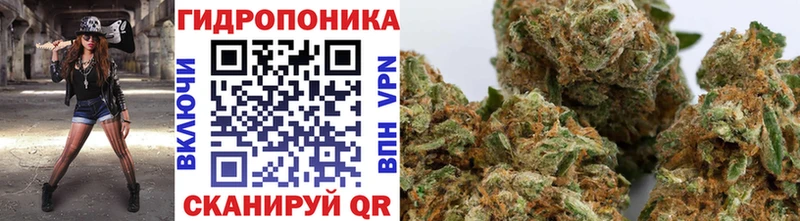 Марихуана план  Ливны 